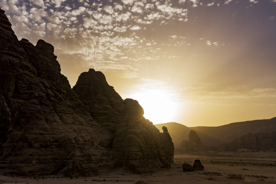 alula